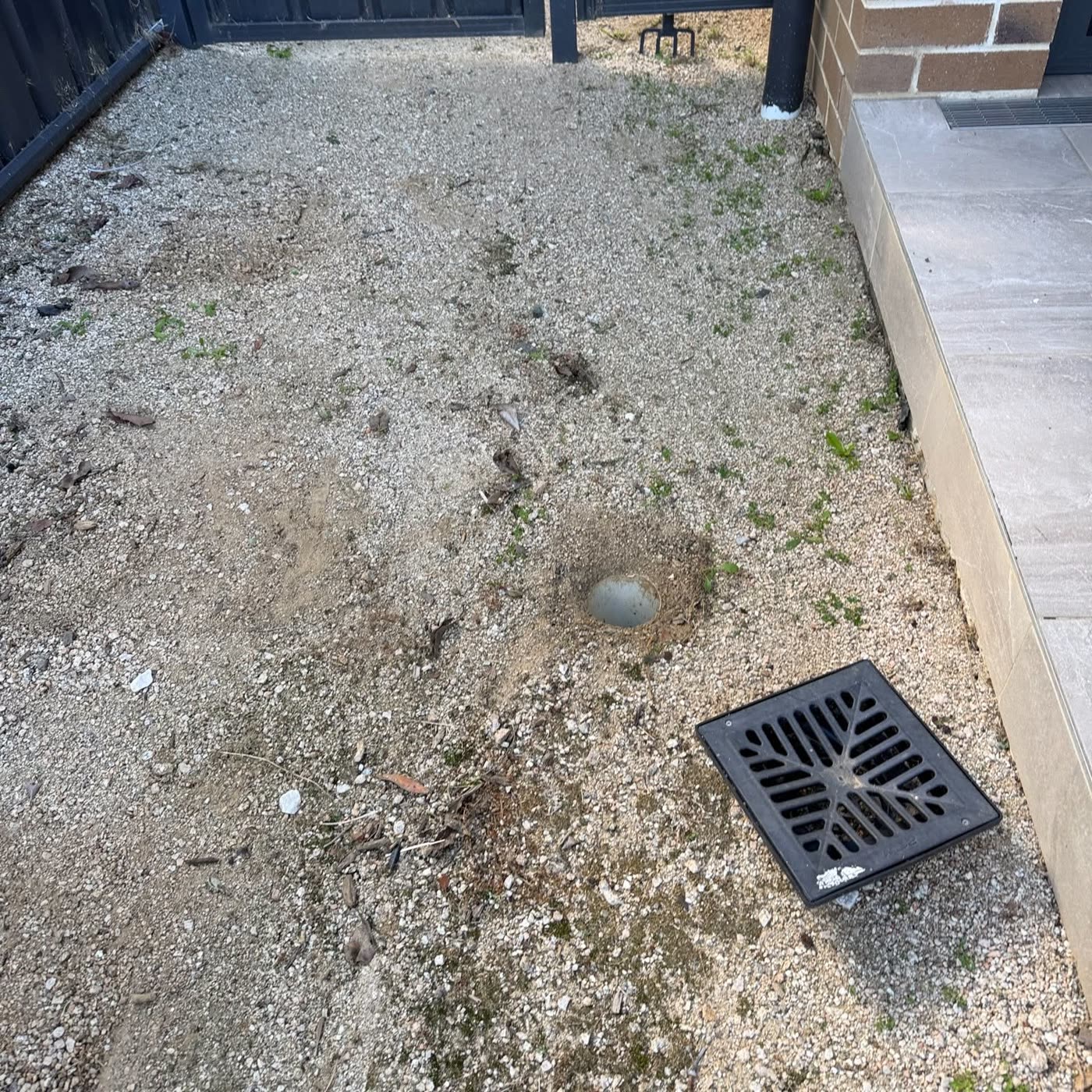 An overgrown garden bed between a fence and a brick wall