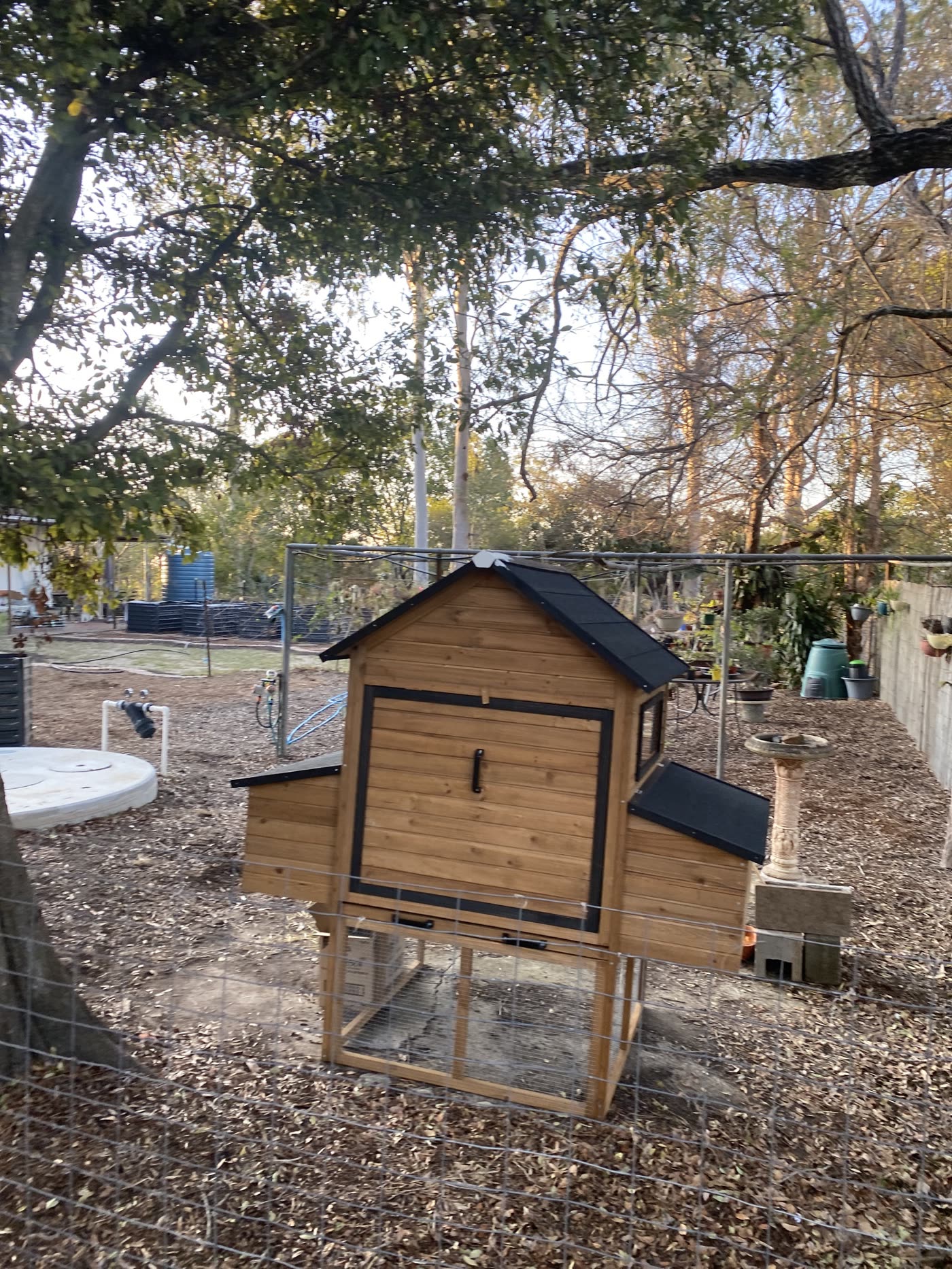A timber chicken nesting box