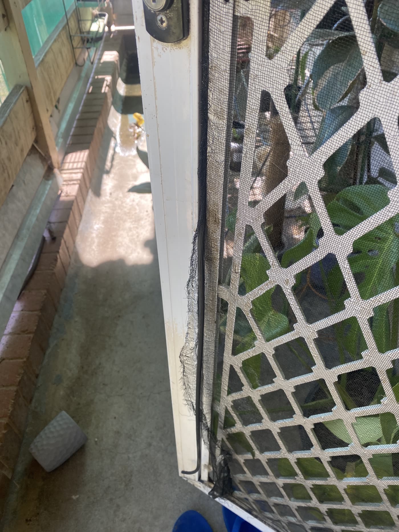 A torn window fly screen