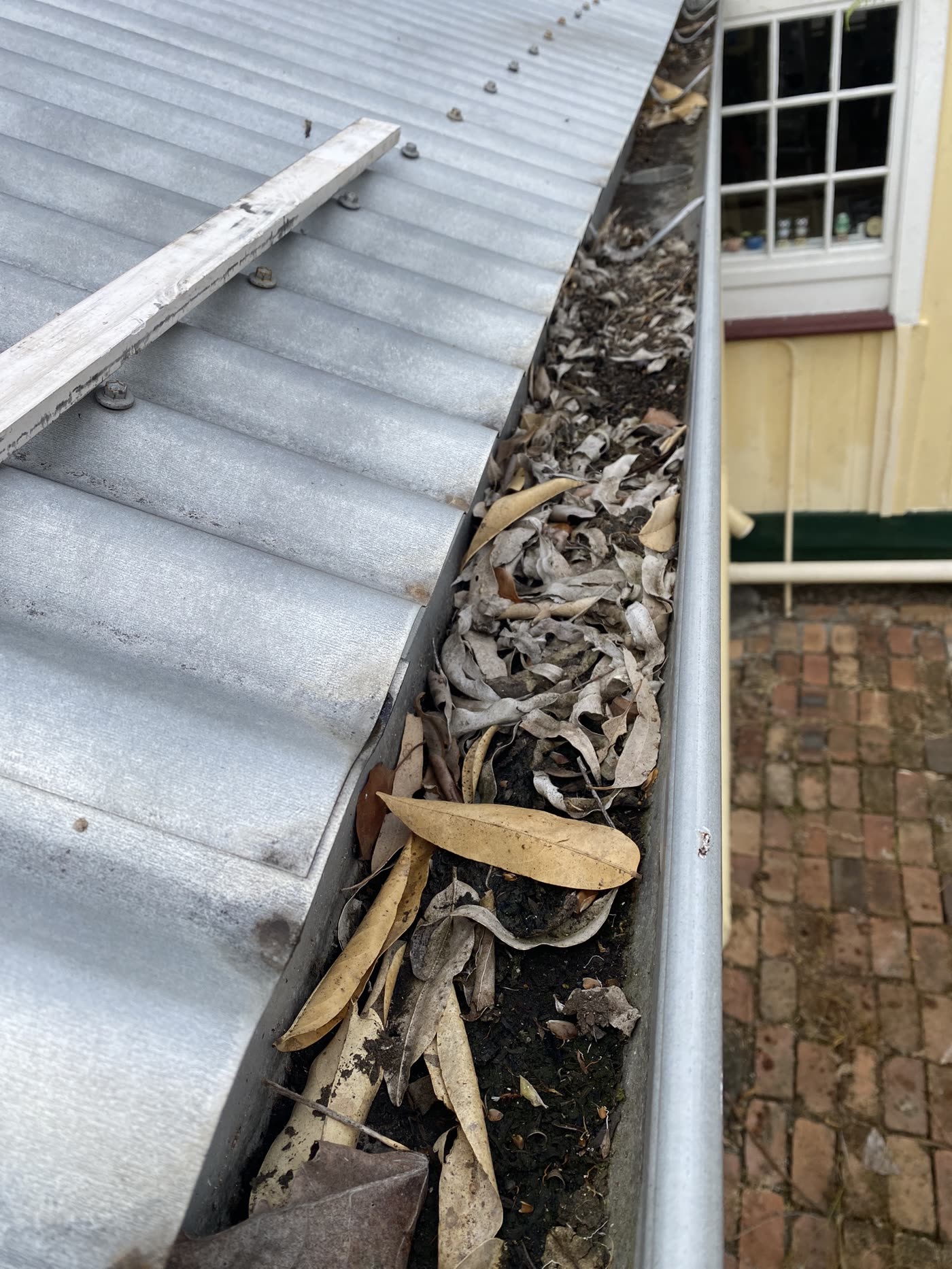 A gutter full of leaves and debris