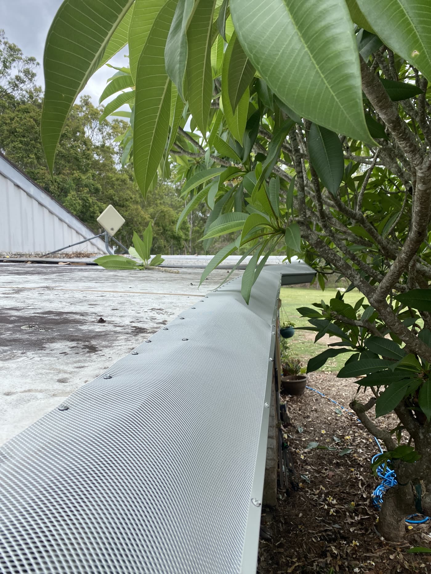 Gutter guard mesh fitted along the same roofline